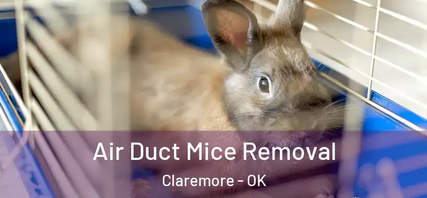 Air Duct Mice Removal Claremore - OK