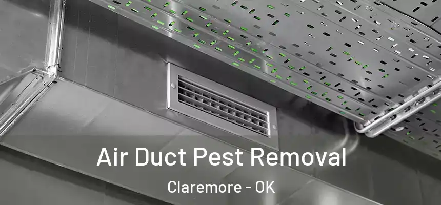 Air Duct Pest Removal Claremore - OK