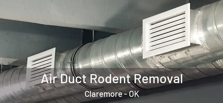 Air Duct Rodent Removal Claremore - OK