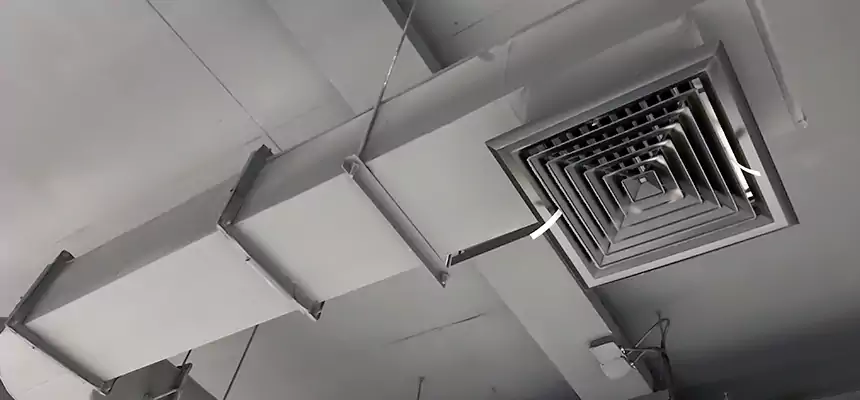 Our Pest Removal From Ducts Services in Claremore, OK