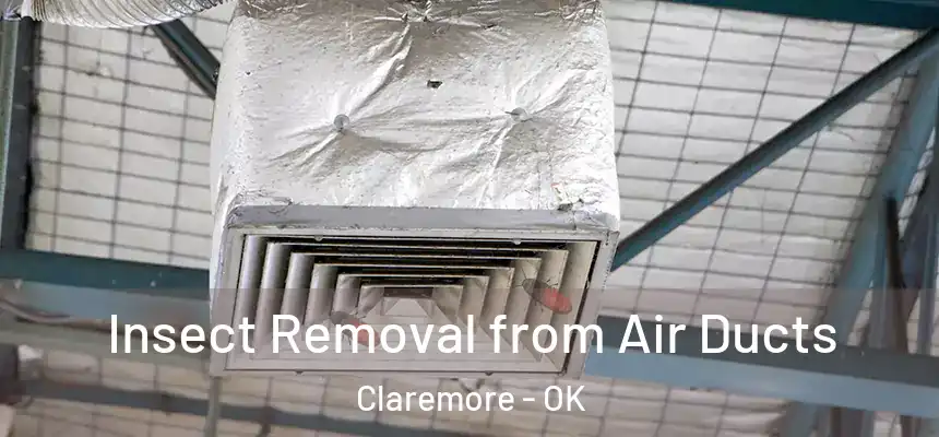Insect Removal from Air Ducts Claremore - OK