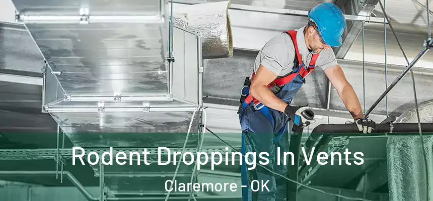Rodent Droppings In Vents Claremore - OK