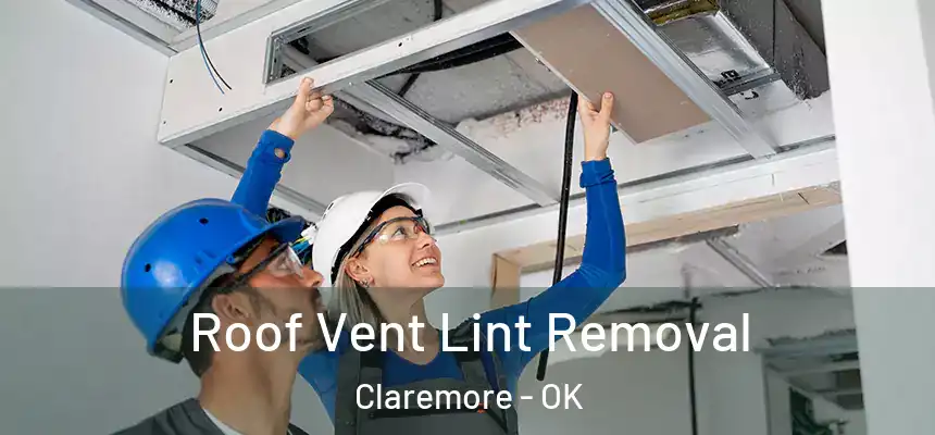 Roof Vent Lint Removal Claremore - OK