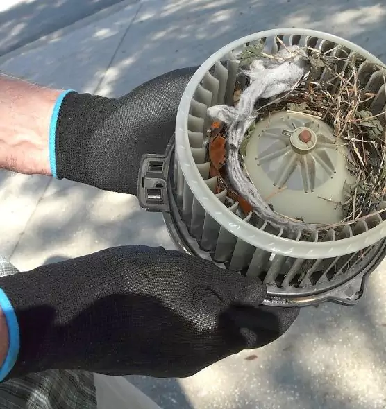 About Air Duct Rat Removal in Claremore, OK