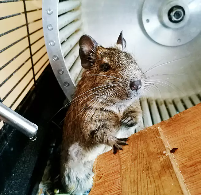 Why Homeowners & Businesses Trust Us Claremore, OK